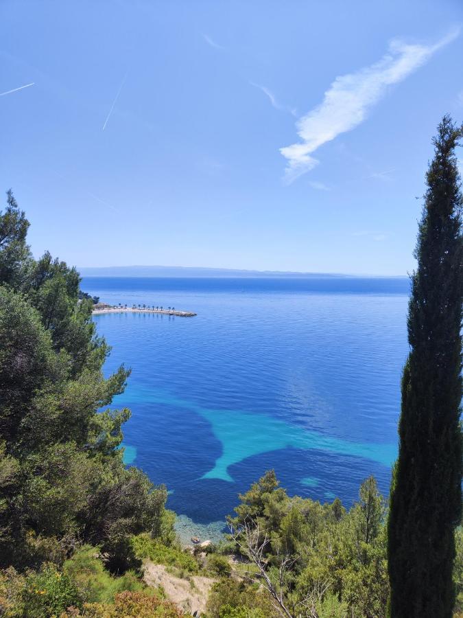 Lucy Apartment Split Dış mekan fotoğraf